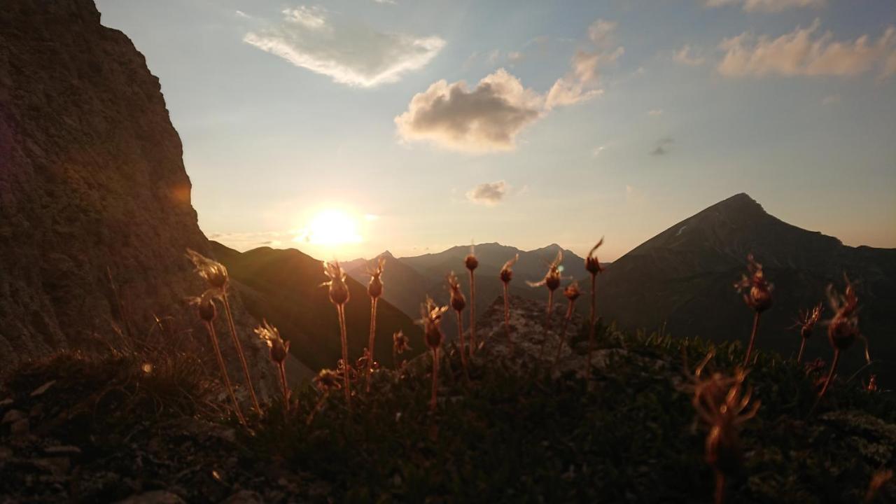 Bergbauernhof Pabulariu Villa Boden Dış mekan fotoğraf